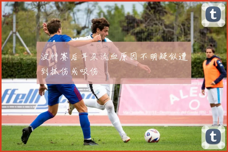 波特赛后耳朵流血原因不明疑似遭到抓伤或咬伤
